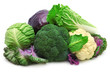 collection cabbage