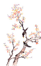Traditional Chinese Painting Of Plum Blossom