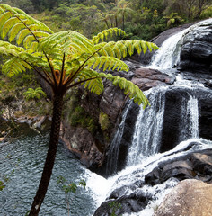 Wall Mural - Waterfall on Sri Lanka