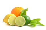 Arrangement mit Zitrusfrüchten, citrus fruits