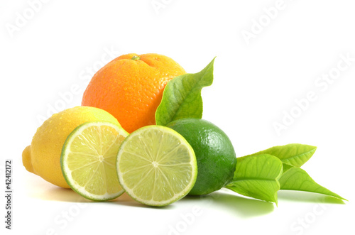Fotografía Arrangement mit Zitrusfrüchten, citrus fruits