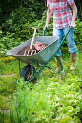 Gardener with a wheelbarrow full of humus