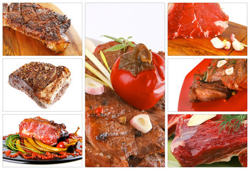 Poster - different meat types on white