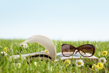 Canvas Print - Glasses on a book outside