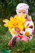 © Sunny studio - Child hidden behind autumn leaves