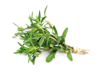 Poster - Thyme fresh herb