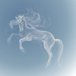 White horse / Vector sketch of fairy unicorn