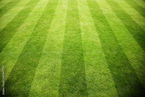 Tapeta ścienna na wymiar Rasen im Stadion