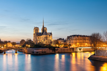 Fototapete - Notre Dame de Paris, France
