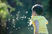 Child Blowing Away Dandelion Seeds