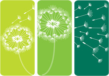 Three Green Cards With Dandelion Flower In Silhouette