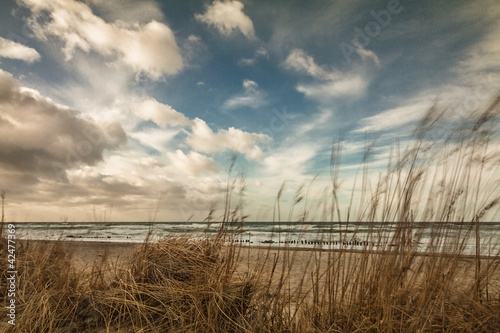 Foto-Vorhang - An der Ostseeküste an einem stürmischen Tag. (von Rico Ködder)