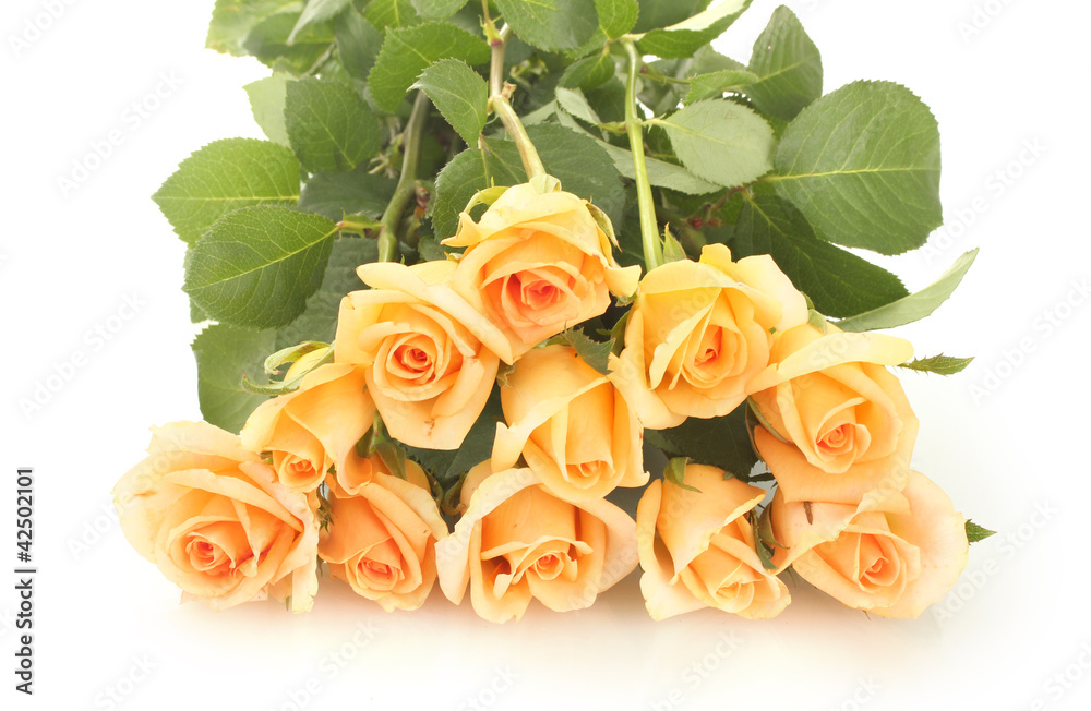 beautiful bouquet of roses isolated on white
