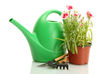 Canvas Print - watering can, tools and plant in flowerpot isolated on white