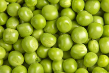 Wet Green Peas