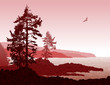 Vancouver Island BC West Coast Landscape
