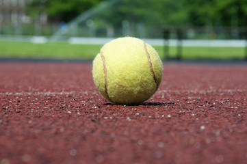 Wall Mural - Tennis ball