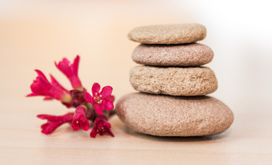 Zen stones and red flower