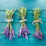 Fototapeta Kuchnia - Lavendel
