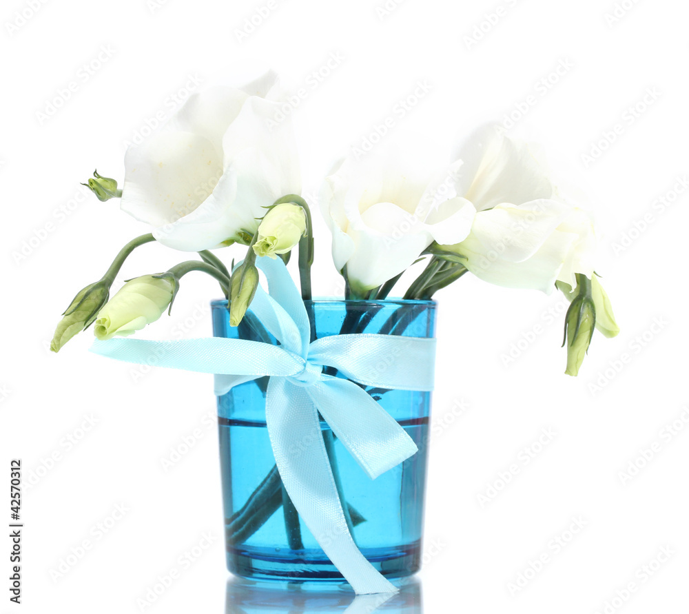 beautiful spring flowers in blue vase isolated on white