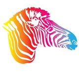 Fototapeta  - vector - zebra color texture