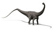 Diplodocus Dinosaur 2