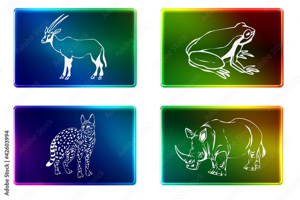 Animal Rectangular Image Rectangulo imagenes animales Stock Illustration | Adobe Stock