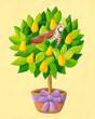 A partridge in a pear tree