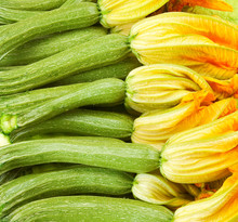 Courgettes Or Zucchini  With Flowers