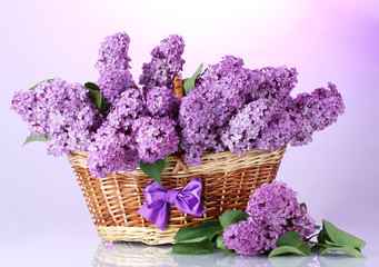 Sticker - beautiful lilac flowers in basket on purple background