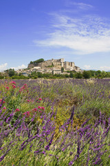 Wall Mural - Provence 18 - Château de Grignan