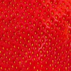 Macro photo of strawberry texture