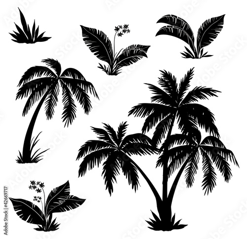 Obraz w ramie Palm trees, flowers and grass, silhouettes
