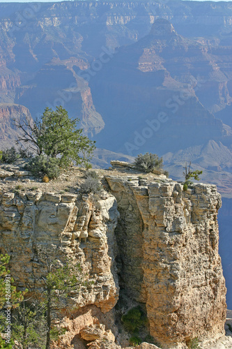 Fotografia, Obraz  Grand Canyon Foliage