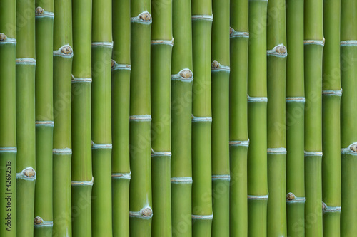 Naklejka na szybę bamboo background