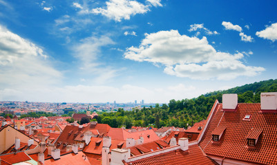 Wall Mural - view of Prague city from hill