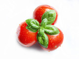 Fototapeta Kuchnia - bazylia z kroplami wody i pomidorami na białym tle
