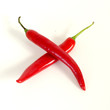 Red Pepper on white background