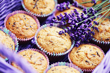 lavender muffins