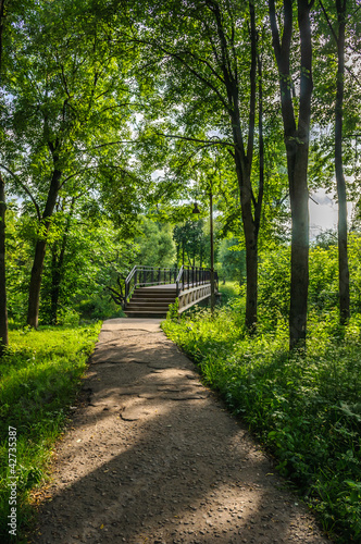 Naklejka na szybę bridge in the park