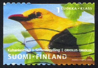 Poster - Golden Oriole