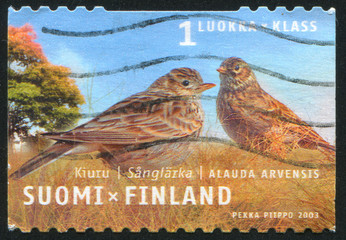 Sticker - Eurasian Skylark