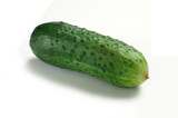 Fototapeta  - Cucumber