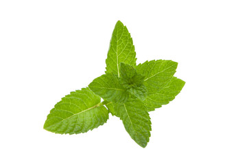 Green mint leaves.