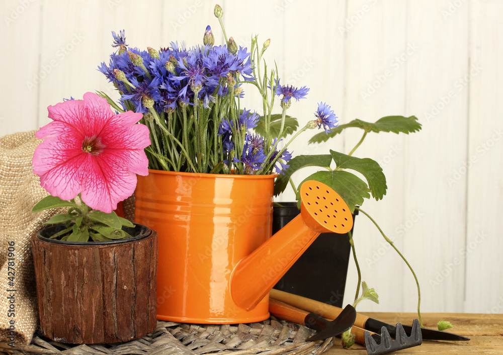 watering can, tools and flowers on wooden background