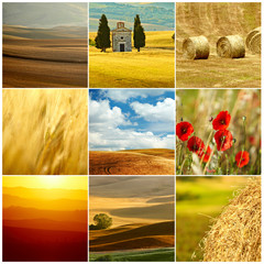 Fotomurales - meadow in spring collage