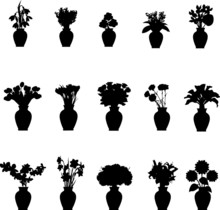 Bouquet Different Flowers In Vase Collection Silhouettes