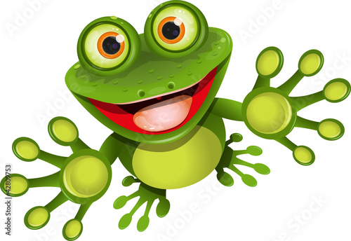 Naklejka - mata magnetyczna na lodówkę happy frog