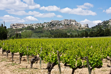 Wall Mural - Les Baux de Provence and Vineyard