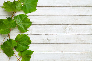 Wall Mural - Grapevine leaves on wooden background